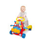 Käimise / jalutamise tool 2in1 hind ja info | Imikute mänguasjad | kaup24.ee