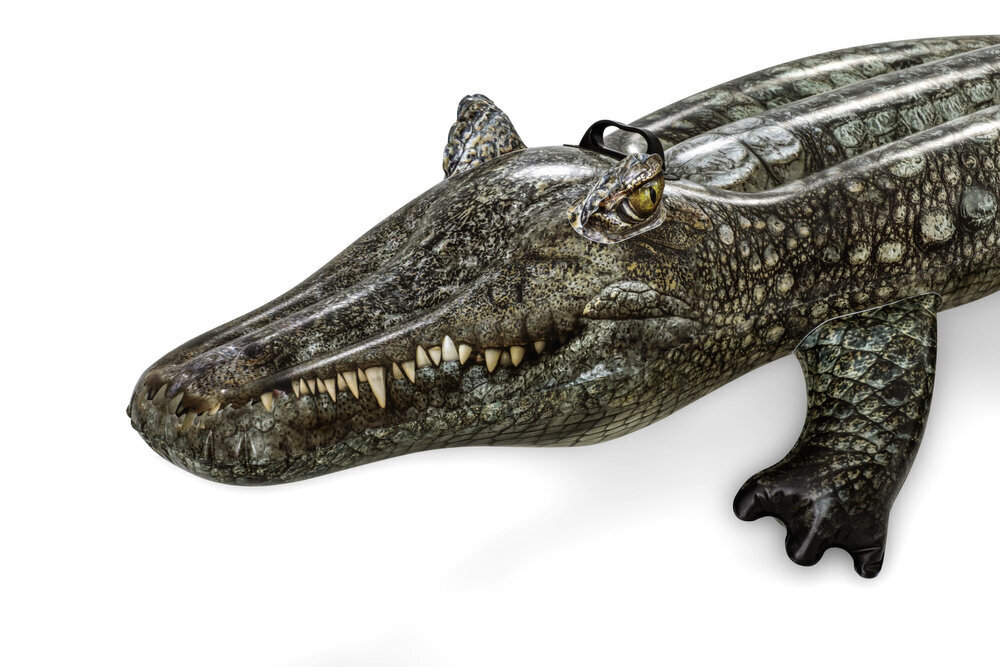 Täispuhutav krokodill 193 cm x 94 cm цена и информация | Täispuhutavad veemänguasjad ja ujumistarbed | kaup24.ee