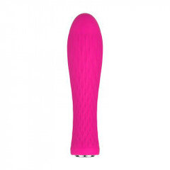 Nalone Ian Bullet Vibrator - roosa hind ja info | Sekslelude komplektid | kaup24.ee