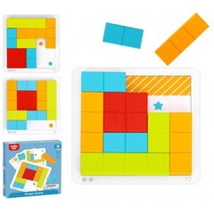 Värvilised klotsid puzzle - Tooky Toy hind ja info | Imikute mänguasjad | kaup24.ee