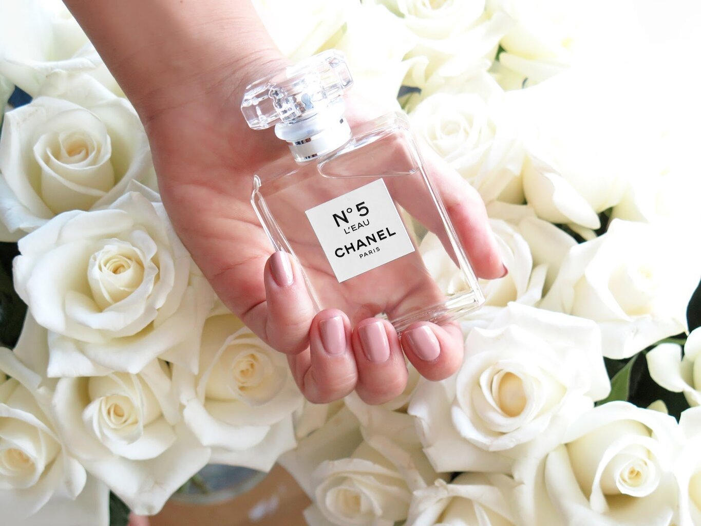 Tualettvesi Chanel No.5 L`Eau EDT naistele, 100 ml hind ja info | Naiste parfüümid | kaup24.ee