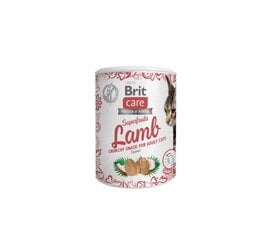 Brit Care Cat Snack SuperFruits Lamb лакомства для кошек 100г цена и информация | Лакомства для котов | kaup24.ee