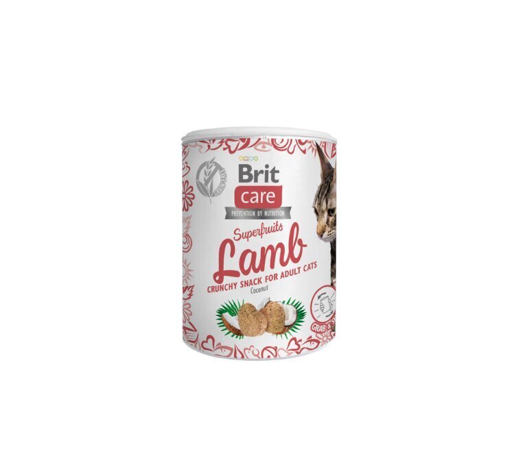 Brit Care Cat Snack SuperFruits Lamb kassimaius lambalihaga 100g hind ja info | Maiustused kassidele | kaup24.ee