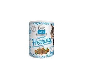 Brit Care Cat Snack SuperFruits Herring kassimaius heeringaga 100g цена и информация | Лакомства для котов | kaup24.ee