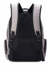 Seljakott Delsey ELEMENT BACKPACKS 15.6 цена и информация | Рюкзаки, сумки, чехлы для компьютеров | kaup24.ee