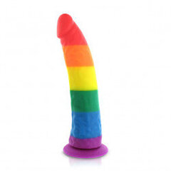 Pride Dildo - silikoonvikerkaare dildo hind ja info | Vibraatorid | kaup24.ee