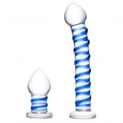 Glas - topelt läbitungimisklaas Swirly Dildo ja tagumiku pistikkomplekt 2 tk hind ja info | Vibraatorid | kaup24.ee