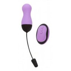 Powerbullet - remote control vibrating egg 10 functions purple цена и информация | Вибраторы | kaup24.ee