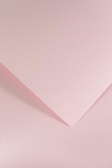 Tekstureeritud papp Gladki, roosa, 210g, 20lk цена и информация | Канцелярские товары | kaup24.ee