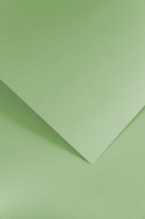 Tekstureeritud papp Gladki, heleroheline, 210g, 20lk hind ja info | Kirjatarbed | kaup24.ee