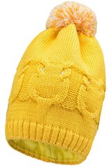 Lenne'20 Gali Art.19392/117  Тёплая зимняя шапочка для малышей цена и информация | Шапки, перчатки, шарфы для мальчиков | kaup24.ee