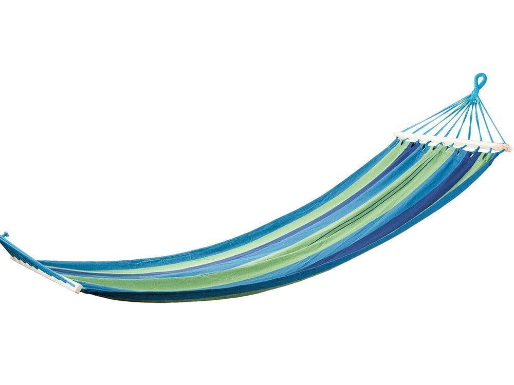 Värviline raamiga võrkkiik 200 x 80 cm, sinine / roheline hind ja info | Võrkkiiged | kaup24.ee