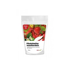 Pikatoimeline maasikaväetis, 3-4 kuud / 750g цена и информация | Рассыпчатые удобрения | kaup24.ee