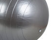 Võimlemispall, 40 cm, hall hind ja info | Võimlemispallid | kaup24.ee