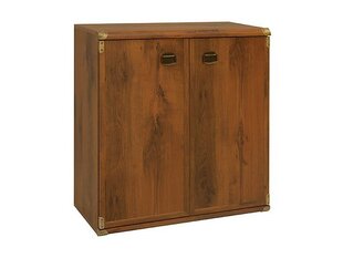 Шкафчик Indiana JKOM2D, коричневый цена и информация | Шкафчики в гостиную | kaup24.ee
