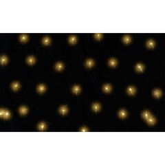 vidaXL LED-jõulutulede võrk 400 LEDi, 3 x 3 m hind ja info | Jõulutuled | kaup24.ee