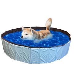 429418 @Pet Dog Swimming Pool 80x20cm S Blue цена и информация | Средства по уходу за животными | kaup24.ee