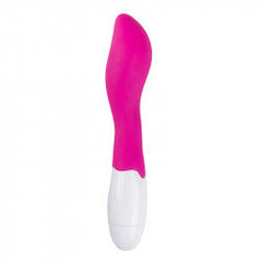 EasyToys Blossom Vibrator - roosa hind ja info | Vibraatorid | kaup24.ee