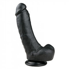 Realistlik dildo - 20 cm hind ja info | Vibraatorid | kaup24.ee