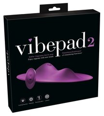 Vibraator Vibepad 2 hind ja info | Vibraatorid | kaup24.ee