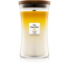 WoodWick Fruits from Summer Trilogy Vase - Summer scented candle 609.5g цена и информация | Подсвечники, свечи | kaup24.ee