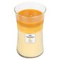 WoodWick Fruits from Summer Trilogy Vase - Summer scented candle 609.5g цена и информация | Küünlad, küünlajalad | kaup24.ee