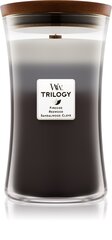 WoodWick lõhnaküünal Warm Woods Trilogy, 609 g hind ja info | Küünlad, küünlajalad | kaup24.ee