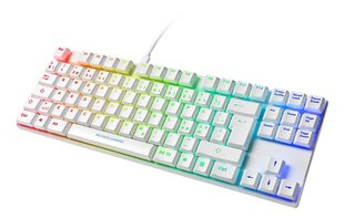 Deltaco Gaming GAM-111-W-UK RGB EN цена и информация | Клавиатура с игровой мышью 3GO COMBODRILEW2 USB ES | kaup24.ee