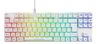 Deltaco Gaming GAM-111-W-UK RGB EN цена и информация | Клавиатура с игровой мышью 3GO COMBODRILEW2 USB ES | kaup24.ee