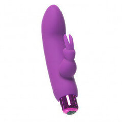 powerbullet - alice&rsquo;s bunny vibrator 10 function purple цена и информация | Вибраторы | kaup24.ee
