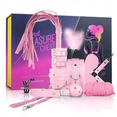 Набор Secret Pleasure - Pink Pleasure цена и информация | Наборы секс-товаров | kaup24.ee