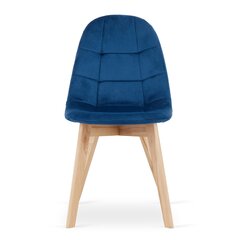 Набор из 4 стульев Bora, синий цвет цена и информация | Стулья для кухни и столовой | kaup24.ee