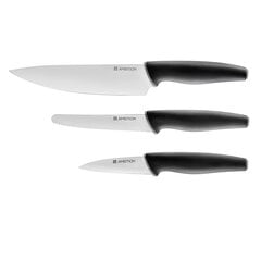 Набор ножей Ambition Aspiro, 3 части цена и информация | Подставка для ножей Tescoma Woody, 21 см | kaup24.ee