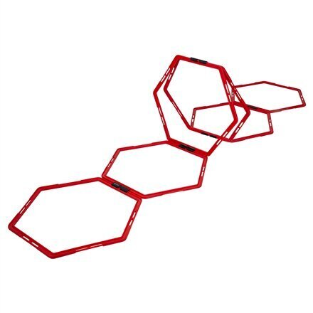 Osavusrõngad Pure2Improve P2I361160, 6 tk, punane цена и информация | Treeningredelid | kaup24.ee