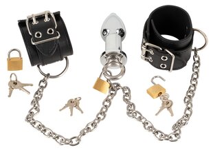 Handcuffs and Plug цена и информация | БДСМ и фетиш | kaup24.ee