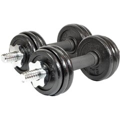 Набор гирь EB Fit, 15 кг (2 x 7,5 кг) цена и информация | Грузы, гантели, грифы | kaup24.ee