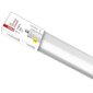 Led lamp Profi Festy 1500 mm, 55 W, neutraalne valge, IP65 цена и информация | Lambipirnid, lambid | kaup24.ee