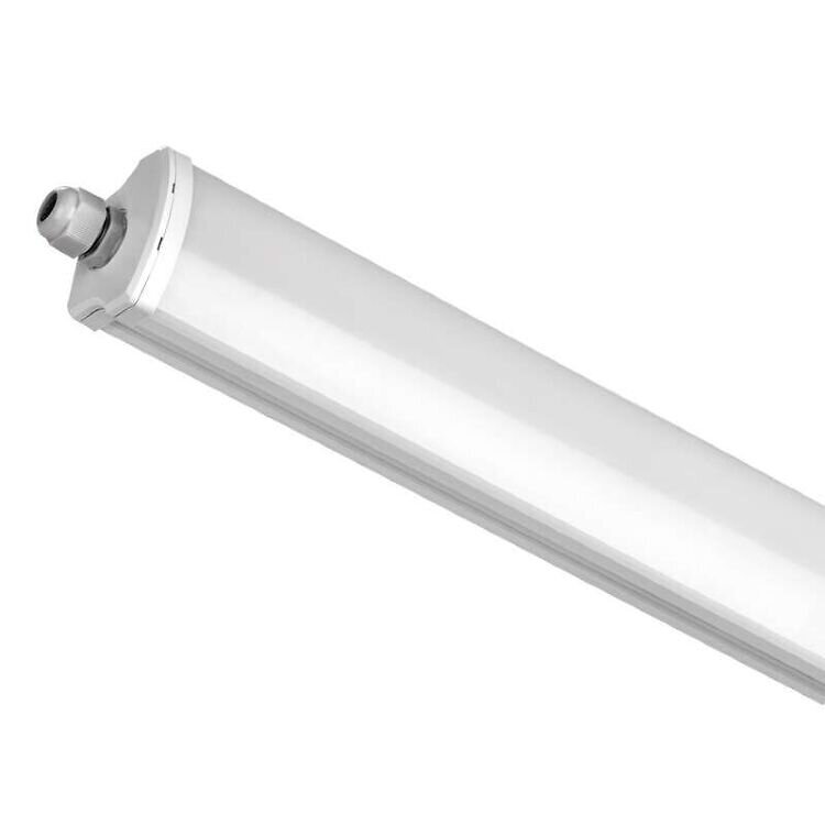 Led lamp Profi Festy 1500 mm, 55 W, neutraalne valge, IP65 цена и информация | Lambipirnid, lambid | kaup24.ee