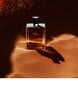 Meeste tualettvesi Hermes Terre d'Hermes EDT, 50 ml hind ja info | Meeste parfüümid | kaup24.ee