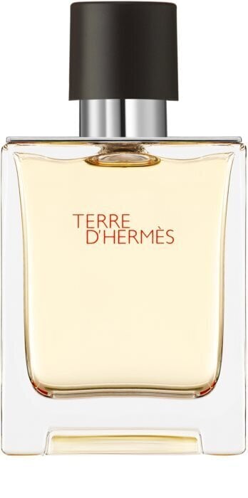 Meeste tualettvesi Hermes Terre d'Hermes EDT, 50 ml цена и информация | Meeste parfüümid | kaup24.ee