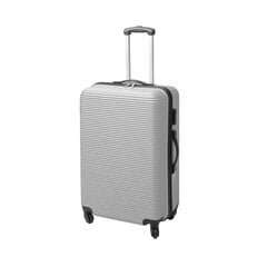 Reisikohver Stripe silver, 23,5 x 32,5 x 53 cm hind ja info | Kohvrid, reisikotid | kaup24.ee