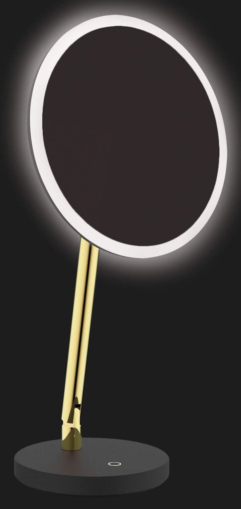 Kosmeetiline peegel LED-iga Deante Silia ADI_Z812, Gold цена и информация | Vannitoa sisustuselemendid ja aksessuaarid | kaup24.ee