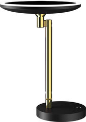 Kosmeetiline peegel LED-iga Deante Silia ADI_Z812, Gold hind ja info | Vannitoa sisustuselemendid ja aksessuaarid | kaup24.ee