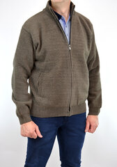 Свитер мужской на молнии Ot-thomas 1689, коричневый цена и информация | Мужские свитера | kaup24.ee