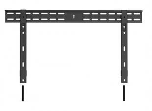 Reflecta 23144, 37"-70" hind ja info | Teleri seinakinnitused ja hoidjad | kaup24.ee