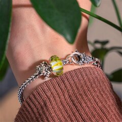 Naiste käevõru komplekt Trollbeads, Muutuste Võlu цена и информация | Женские браслеты | kaup24.ee