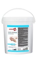 Kätepesupasta P308, 4000 ml hind ja info | Puhastusvahendid | kaup24.ee
