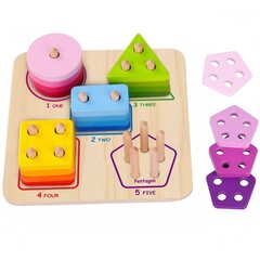 Деревянный геометрический сортер - Tooky Toy цена и информация | Развивающие игрушки | kaup24.ee