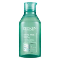 Puhastav šampoon Redken Amino Mint, 300 ml цена и информация | Шампуни | kaup24.ee