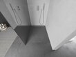 Walk-in dušisein Mexen Kioto, chrome/peegelklaas, 70,80,90,100,110,120x200 cm цена и информация | Dušikabiinide uksed ja seinad | kaup24.ee